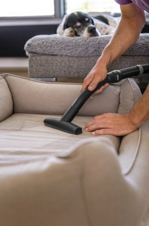 Ssawka do tapicerki do usuwania sierści zwierząt domowych 2.863 -375.0