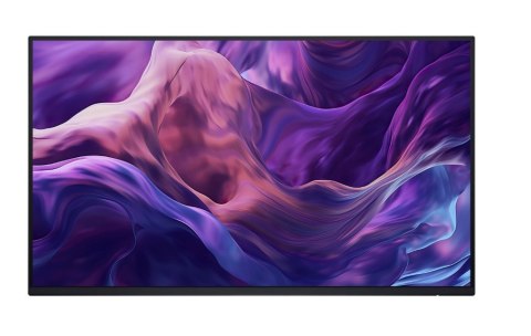 Monitor 23.8 cala P2425H WOST IPS 1920x1080/16:9/DP/HDMI/USBC/VGA/USB/No stand/3Y Monitor 23.8 cala P2425H WOST IPS 1920x1080/16:9/DP/HDMI/USBC/VGA/USB/No stand/3Y