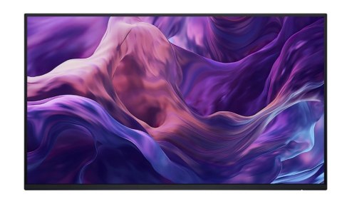 Monitor 23.8 cala P2425H WOST IPS 1920x1080/16:9/DP/HDMI/USBC/VGA/USB/No stand/3Y Monitor 23.8 cala P2425H WOST IPS 1920x1080/16:9/DP/HDMI/USBC/VGA/USB/No stand/3Y