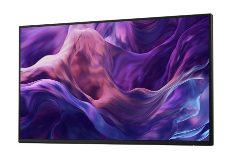 Monitor 23.8 cala P2425H WOST IPS 1920x1080/16:9/DP/HDMI/USBC/VGA/USB/No stand/3Y Monitor 23.8 cala P2425H WOST IPS 1920x1080/16:9/DP/HDMI/USBC/VGA/USB/No stand/3Y