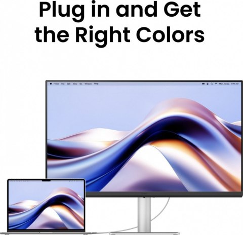 Monitor 31.5 cala MA320U 4K LED 5ms/60Hz/IPS Monitor 31.5 cala MA320U 4K LED 5ms/60Hz/IPS