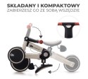 Rowerek trójkołowy 4TRIKE SILVER GREY
