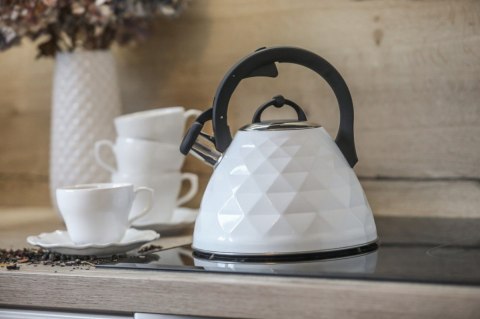 Czajnik ROSA 3L BR-7610 biały