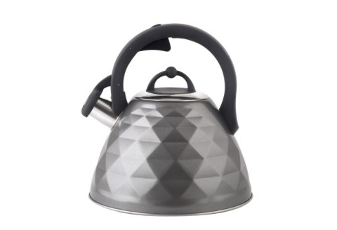 Czajnik ROSA 3L BR-7641 szary