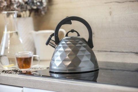 Czajnik ROSA 3L BR-7641 szary