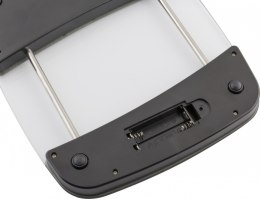 Waga kuchenna LT7071 EQUAL