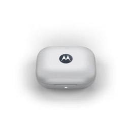 Słuchawki Moto Buds Blueberry