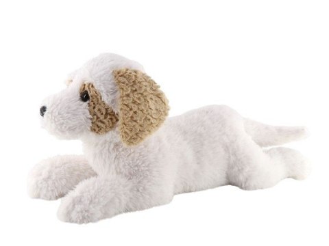 Maskotka Pies hawańczyk leżący 60 cm