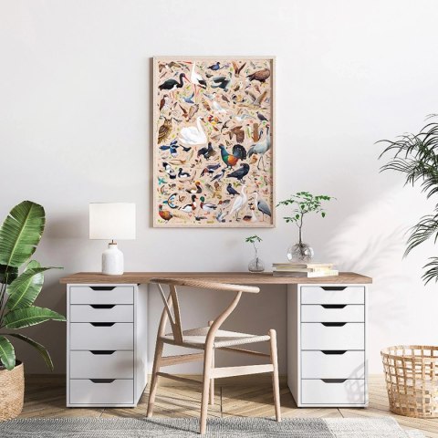 Puzzlove CzuCzu Ptaki Polski 1000 CzuCzu