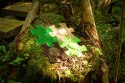 Muffik Barwy Natury - zestaw 9 mat sensorycznych 12 msc+ Muffik