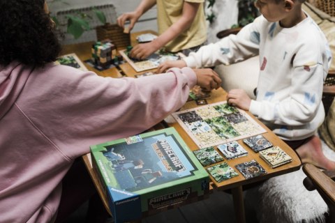 Gra planszowa Minecraft Builders and Biomes Gra planszowa Minecraft Builders and Biomes